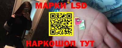 скорость Новозыбков