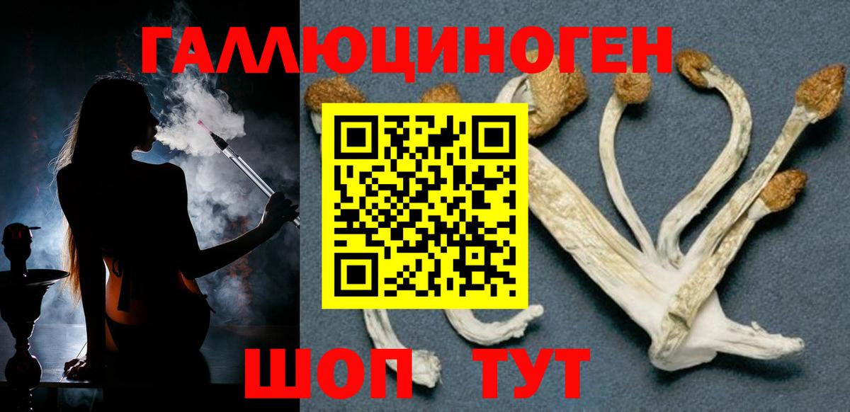 магазин продажи   Галлюциногенные грибы MAGIC MUSHROOMS  Вход с VPN  Тайшет  Псилоцибиновые грибы MAGIC MUSHROOMS 