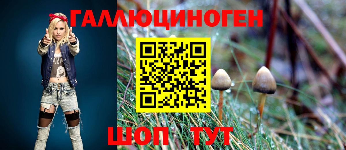 Галлюциногенные грибы Magic Shrooms Тайшет